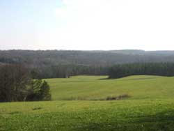 Scenic View