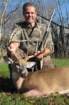 deer760web_small.jpg