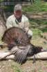 img_0372web_small.jpg