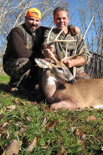deer762web.jpg
